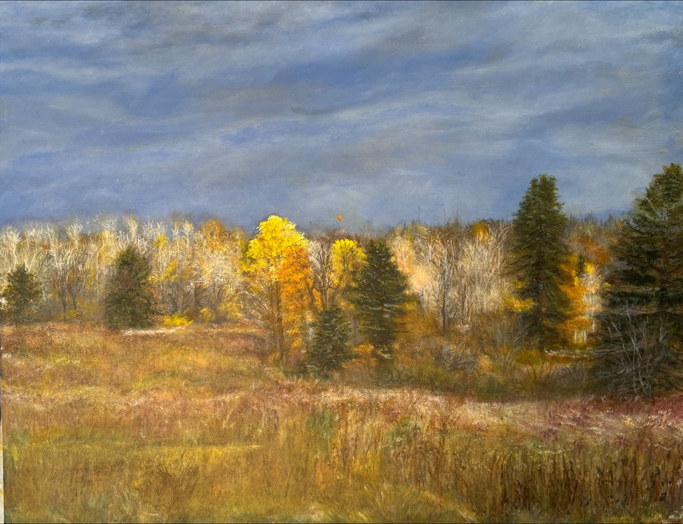 Finding Your Story in Art: A Guide to Personalizing Your Space